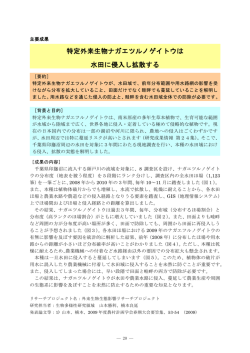 特定外来生物ナガエツルノゲイトウは 水田に侵入し拡散する