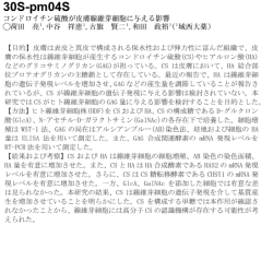 3DS-pm043