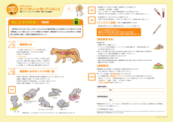 猫の病気編②「糖尿病 インスリン注射の注意点」