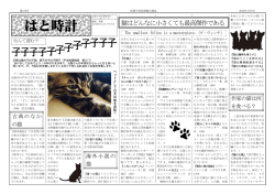 猫 特集（眞鍋）
