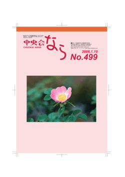 No499.2006.Jan