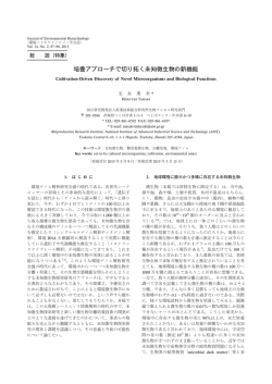 培養アプローチで切り拓く未知微生物の新機能