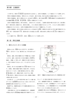 第15章 生殖器系