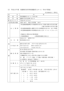 （2） 平成 25 年度 実績報告書（特別養護老人ホーム 幸せの里他）