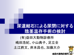尿道結石による尿閉に対する陰茎温存手術の検討