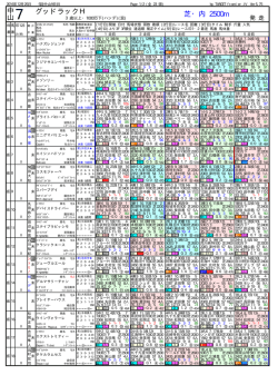 橡 競馬新聞形式・出馬表 [グッドH1000]
