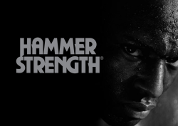Hammer
