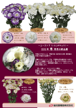 2015 年 冬 発売の新品種 ｼﾄﾗｽﾑｰｽ ｻｸﾗﾐﾝﾄ