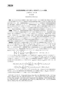 3B20 - 理論化学研究会