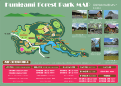 森林公園裏.compressed