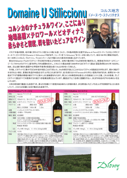 Domaine U Stiliccionu Domaine U Stiliccionu コルス地方