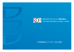 日本リスク・データ・バンク株式会社(RDB)