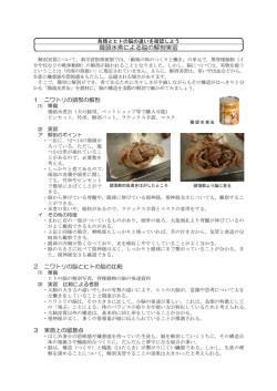 鶏頭水煮による脳の解剖実習