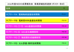 NEDO成果報告会用 事業詳細技術進捗 - 技術研究組合 FC
