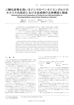 PDF形式、514kバイト