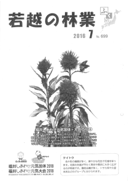 699（pdf.