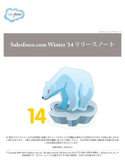 Salesforce.com Winter `14 リリースノート