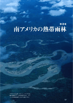 南アメリカの熱帯雨林