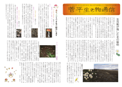 氷河期が残した北の植物 - 筑波大学菅平高原実験センター