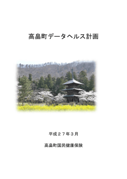 高畠町データヘルス計画