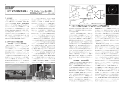 GFP 研究の歴史を紐解く