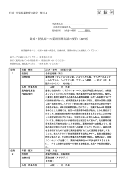 PDFファイル