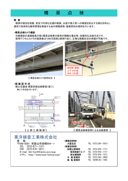 東洋検査工業株式会社 橋 梁 点 検