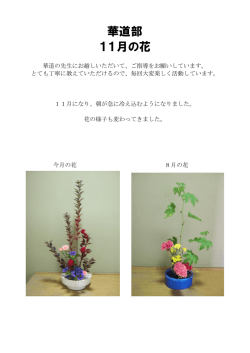 華道部 11月の花