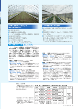 こんな場合に導入ください 「タキイ涼感ホワイト20」の 期待できる効果とは