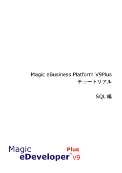 Magic eBusiness Platform V9Plus チュートリアル SQL 編