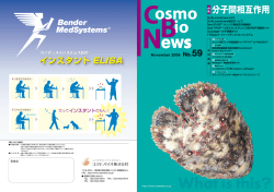 PDFダウンロード