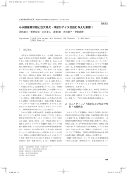 p.119-126 本文PDF（2202KB）