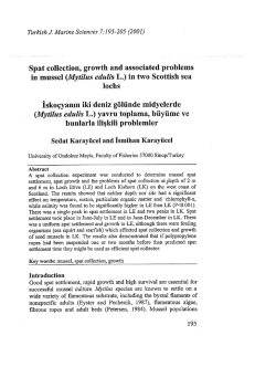 cotton ARENA アリーナ 水着 1 水泳水球競技 Bahama AQUAFORCE