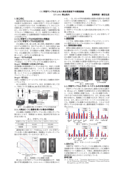 CG 学習サンプルによる人検出性能低下の要因調査 EP11001 青山祐斗