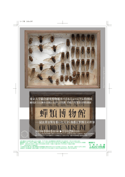 kato masayo_leafA4_150807_2