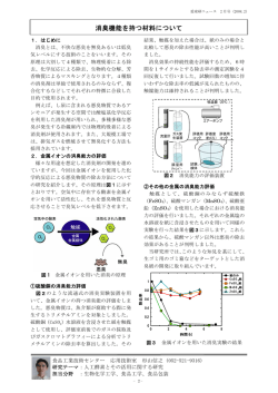 消臭機能を持つ材料について （PDF: 46.4 KB）