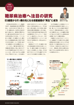 糖尿病治療へ注目の研究