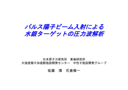 パルス陽子ビーム入射による 水銀ターゲットの圧力波解析