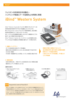 PDF ダウンロード