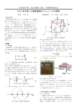 FDTD法を用いた電磁界解析シミュレータの開発