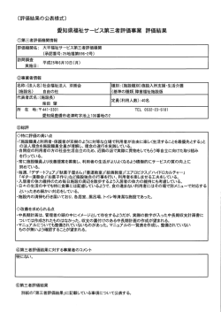 第三者評価 自由の杜（H25