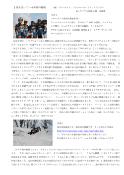 2 兎を追って～4年目の挑戦