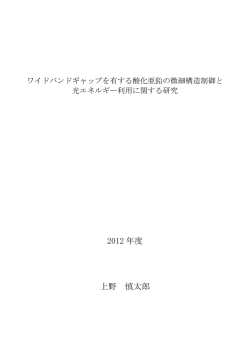 2012 年度 上野 慎太郎