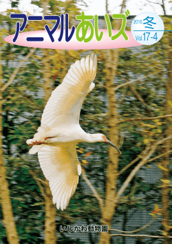 動物園の住人たち シリーズ