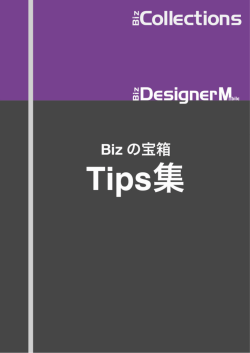 Biz/Designer Mobile TIPS集 PDF版 - Biz