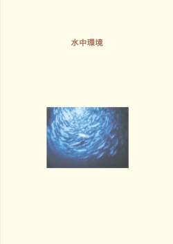水中環境