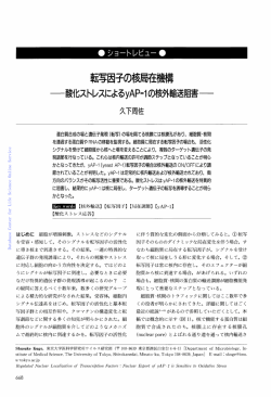 蛋白質核酸酵素:転写因子の核局在機構