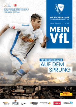 MeinVfL Ausgabe 06_2012_2013