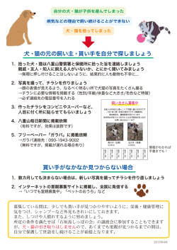犬・猫の元の飼い主・貰い手を自分で探しましょう