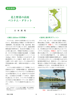 花と野菜の高原 ベトナム・ダラット